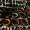 Corn & Soybean Planter Plates